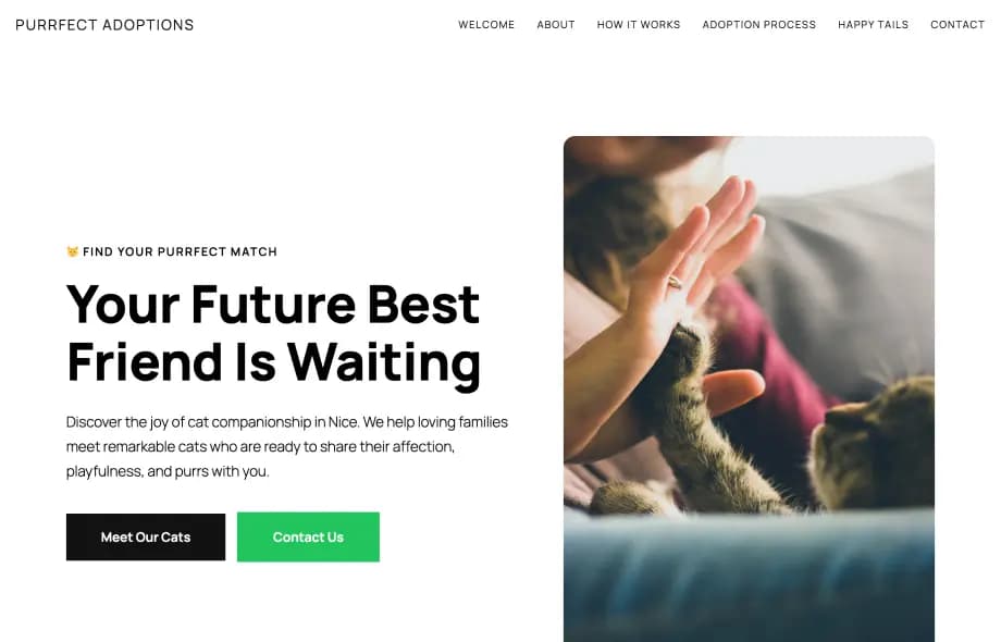 Flowpilot template-6